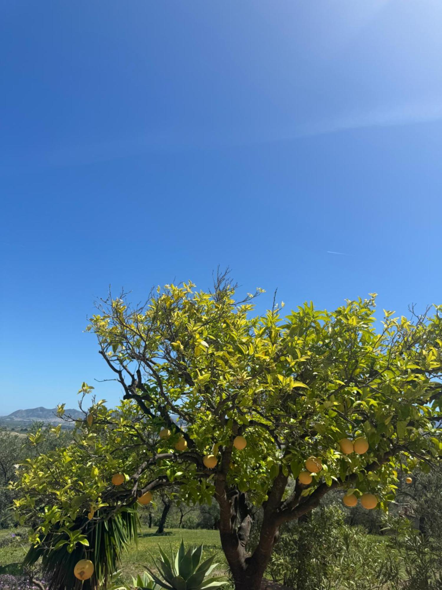 بيزارا Santa Teresa Bed & Breakfast Andalusien المظهر الخارجي الصورة