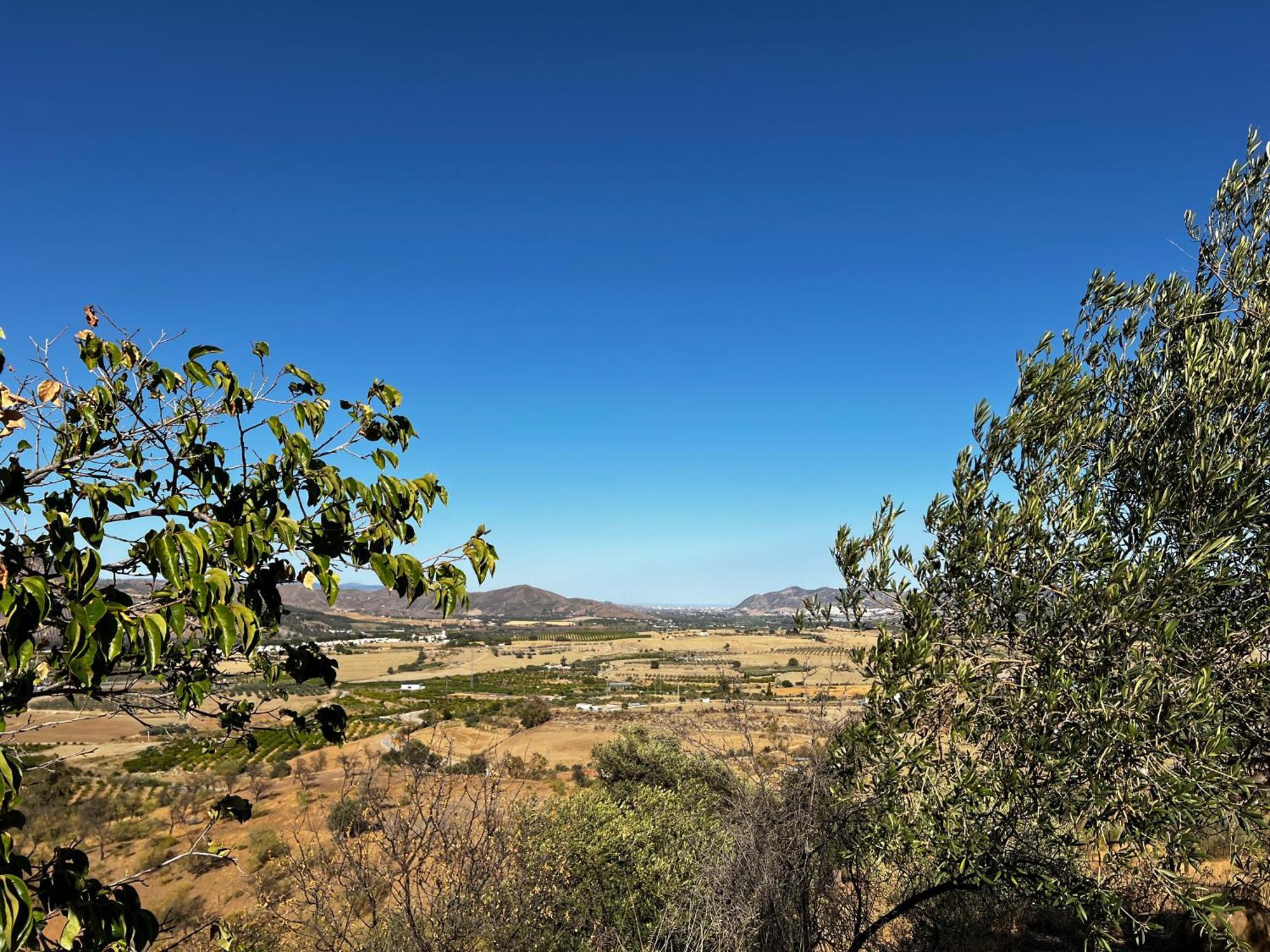 بيزارا Santa Teresa Bed & Breakfast Andalusien المظهر الخارجي الصورة