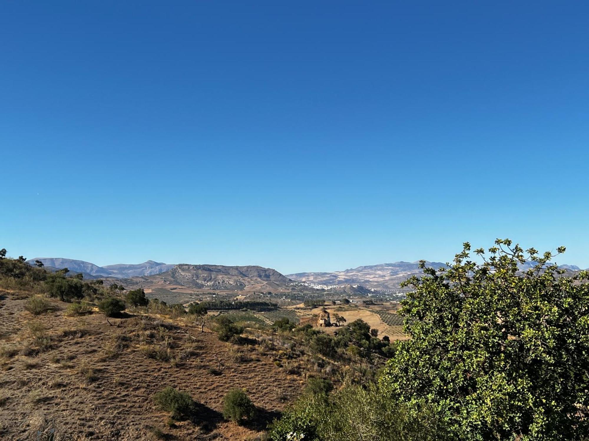 بيزارا Santa Teresa Bed & Breakfast Andalusien المظهر الخارجي الصورة